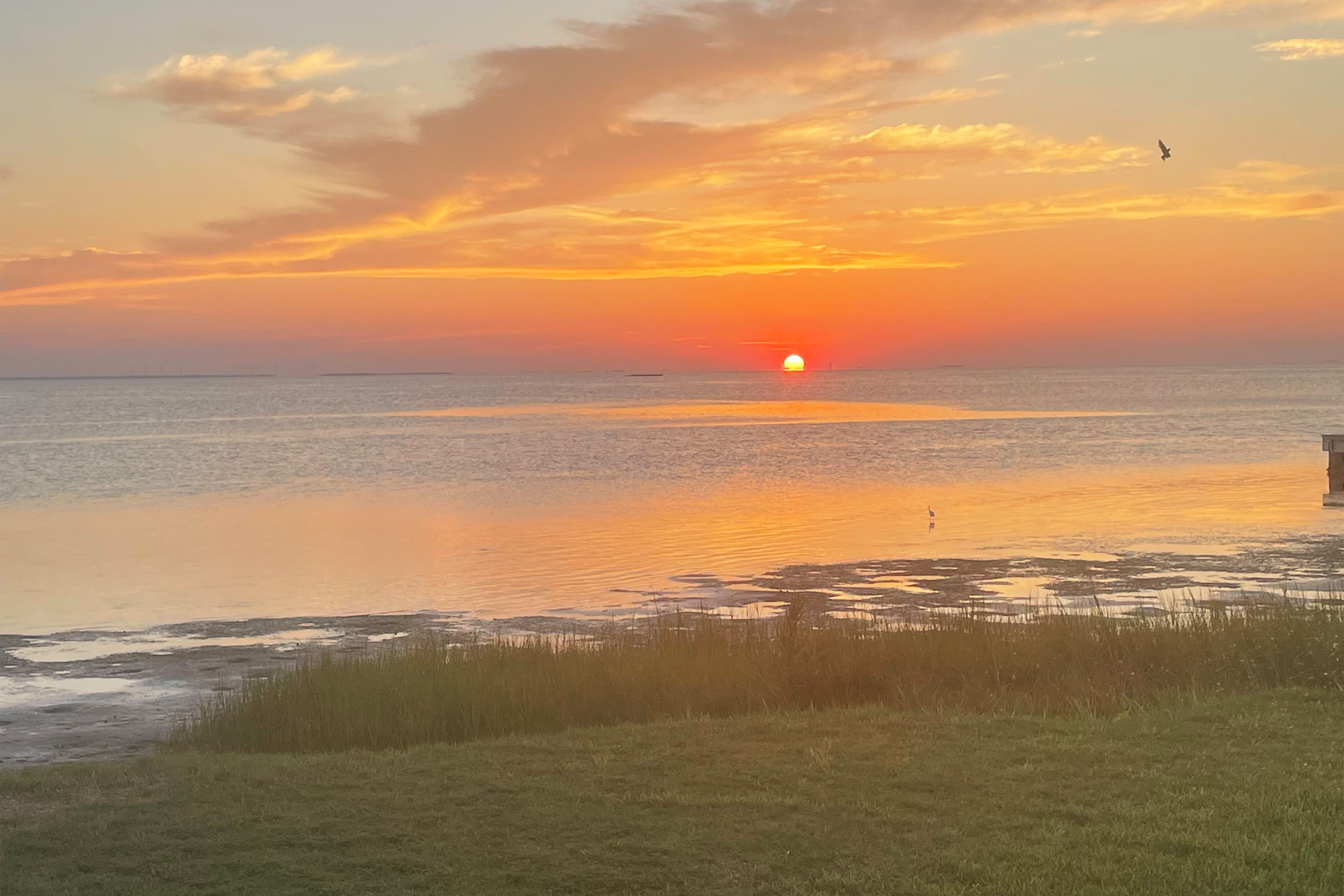 A picturesque sunset casting warm hues over palm trees and a calm water