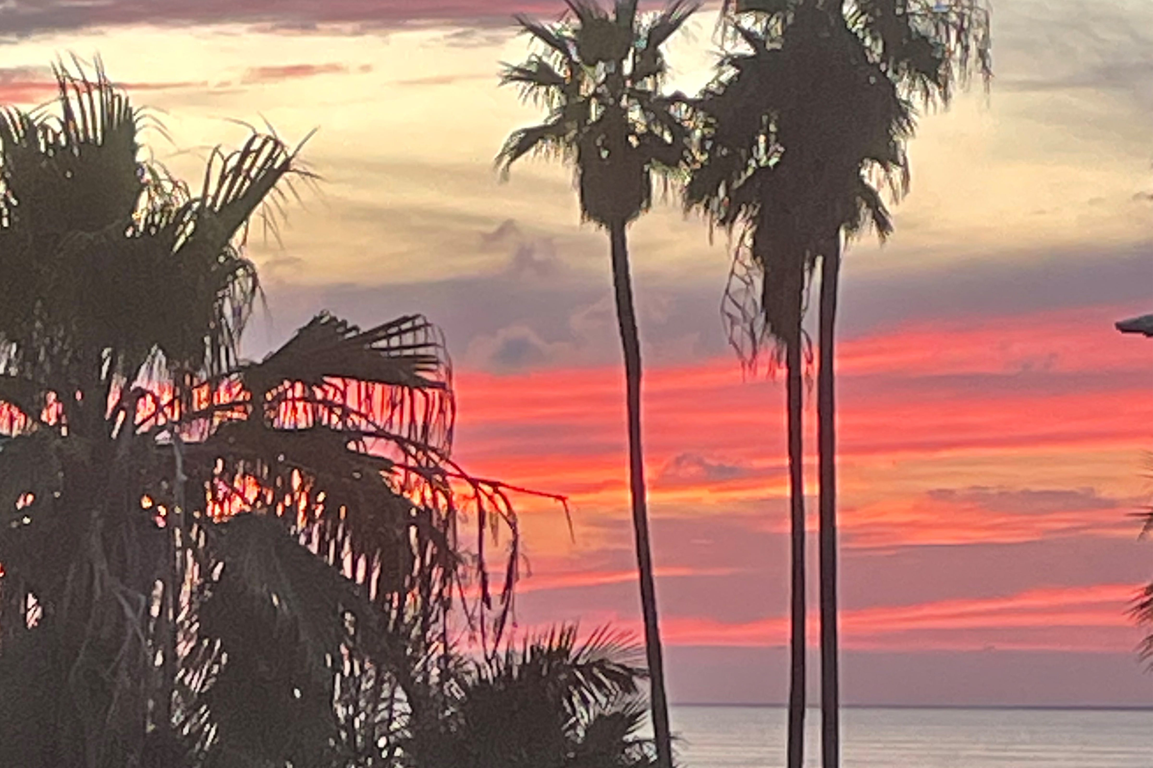 A serene sunset illuminating palm trees silhouetted